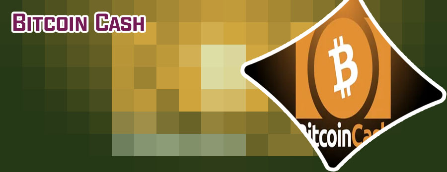 Bitcoin cash bch