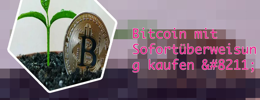 Bitcoin kaufen und überweisen