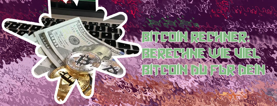 Bitcoin rechner dollar