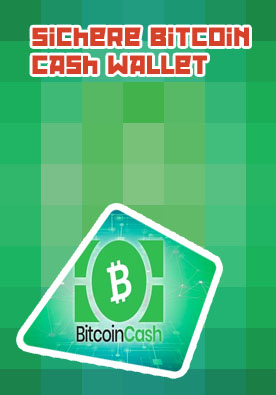 Wie viele bitcoin cash gibt es